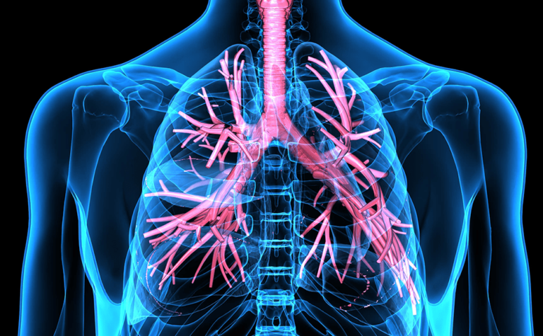 Practice Pearls for Performing Pleural Ultrasound with Focus on Pleural ...