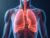 Close up of a person's lungs with red and blue colors. The lungs are shown in a 3D format