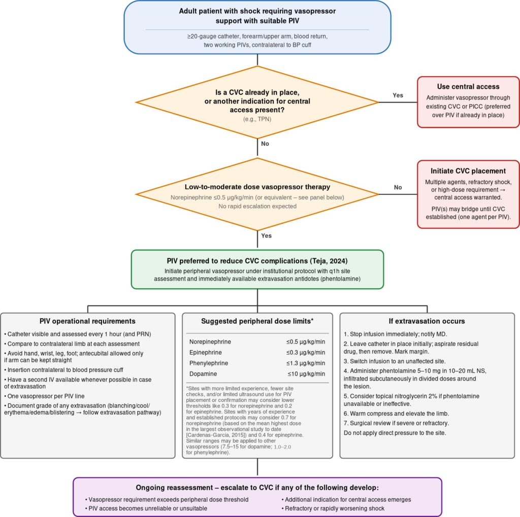 Figure 2: Example clinical decision algorithm for peripheral vasopressors5,30