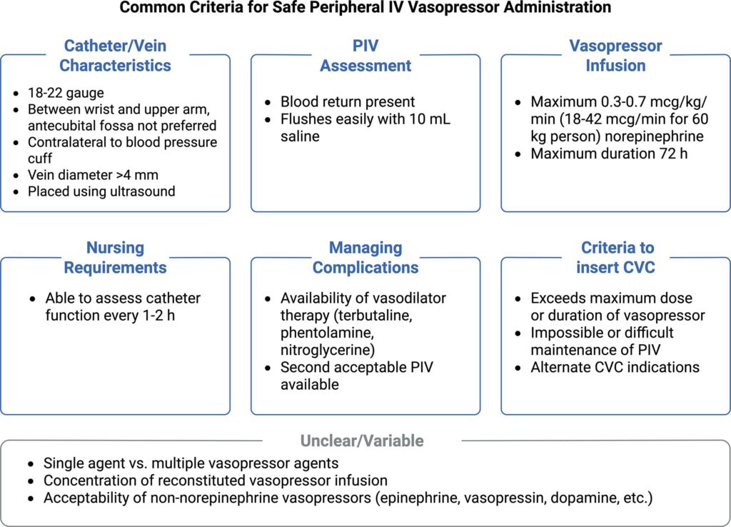 Figure 1: Common criteria for safe peripheral IV vasopressor administration